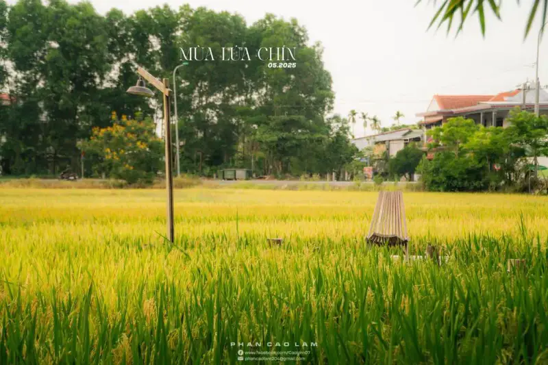 Tiệm Café Tụi Mình Huế - ảnh 7