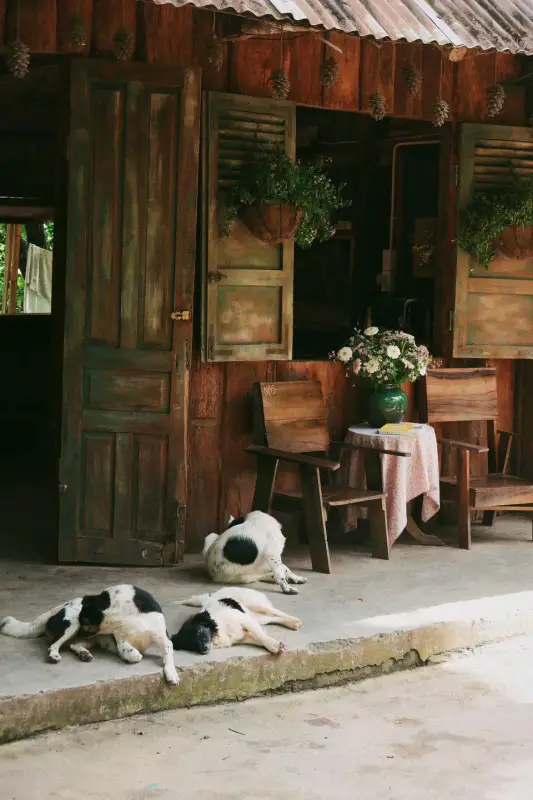 Tiệm cà phê Nhà Bên Suối - ảnh 2