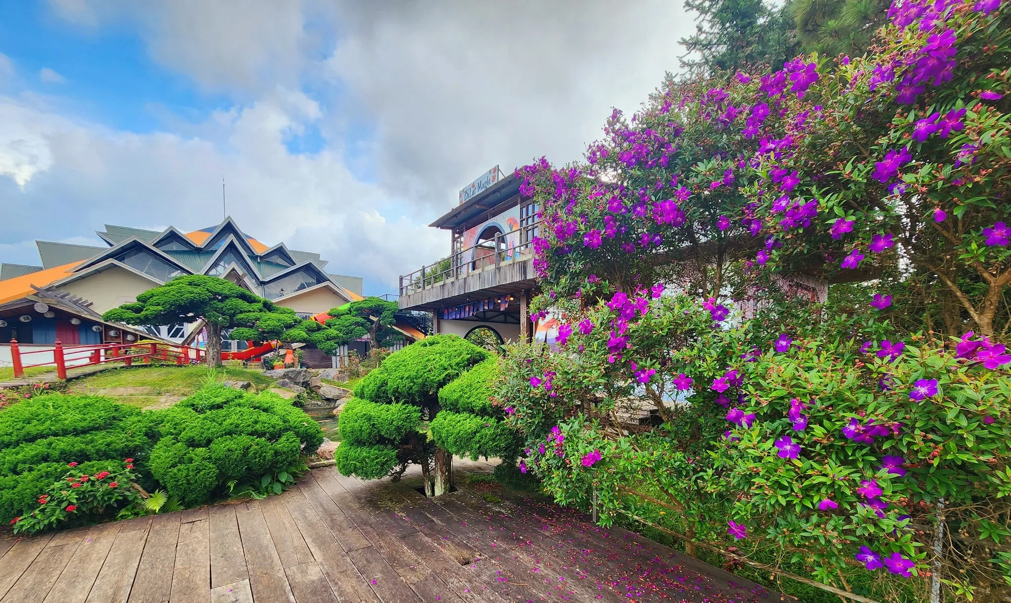 Kokoro Cafe - ảnh 5