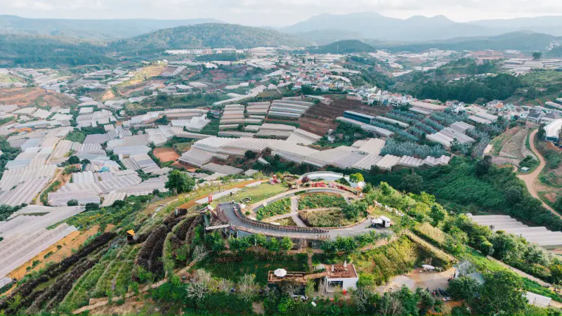 Chuyện Của Nắng Đà Lạt - ảnh 5
