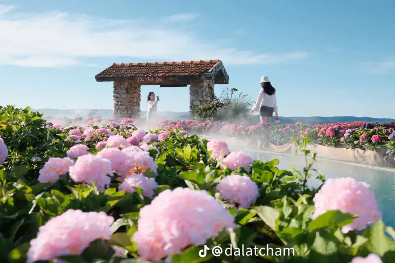 Chuyện Của Nắng Đà Lạt - ảnh 4
