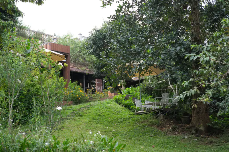 Đợi Một Người Cafe - Homestay - Restaurant - ảnh 5