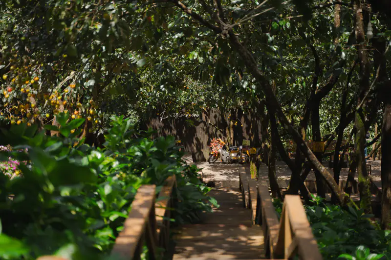 Cafe persimmon - ảnh 5
