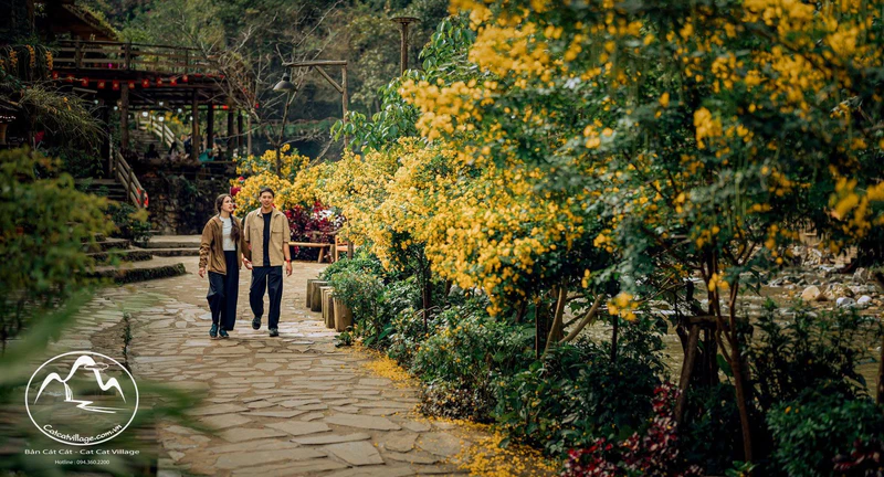 Bản Cát Cát (hay thôn Cát Cát) - ảnh 6