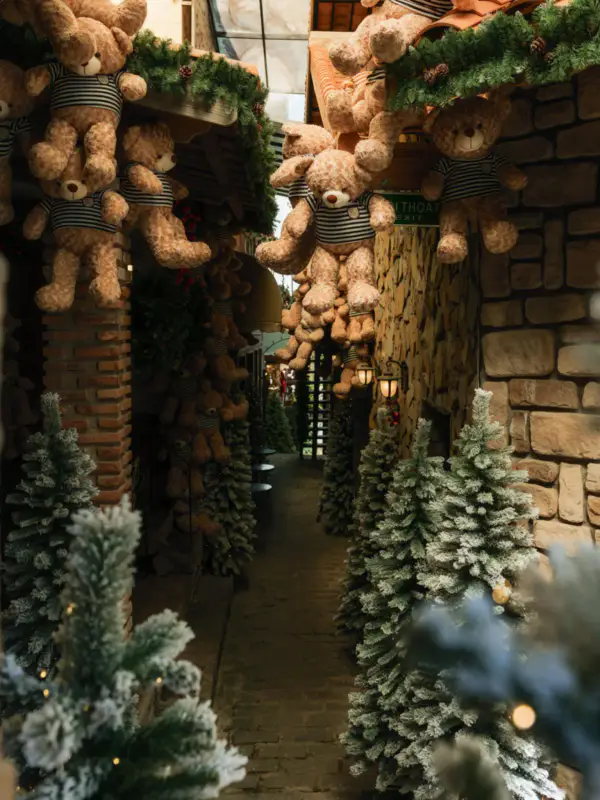 Villa d’Hiver - ảnh 5