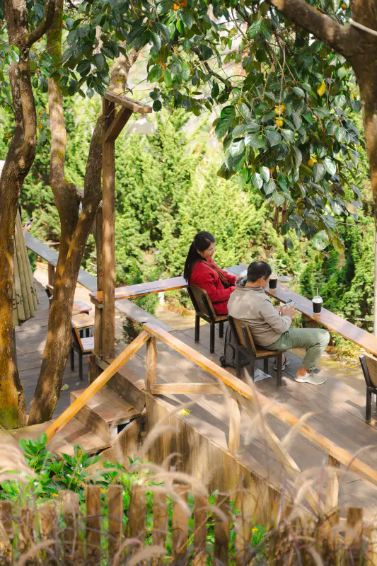 Cafe persimmon - ảnh 4