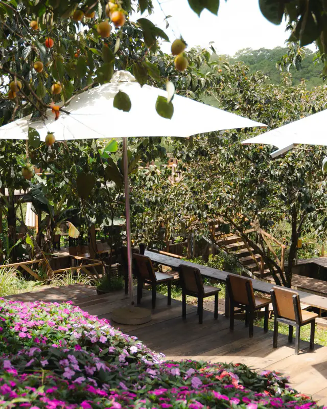 Cafe persimmon - ảnh 6