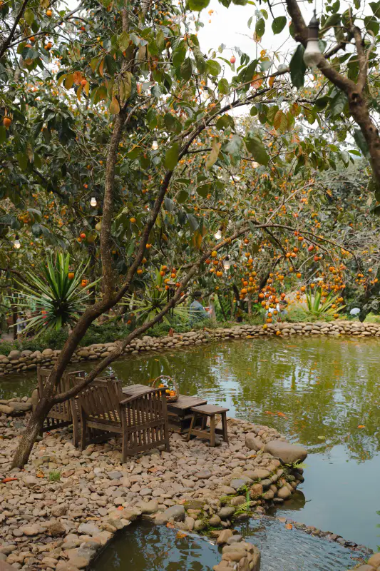 Cafe persimmon - ảnh 7