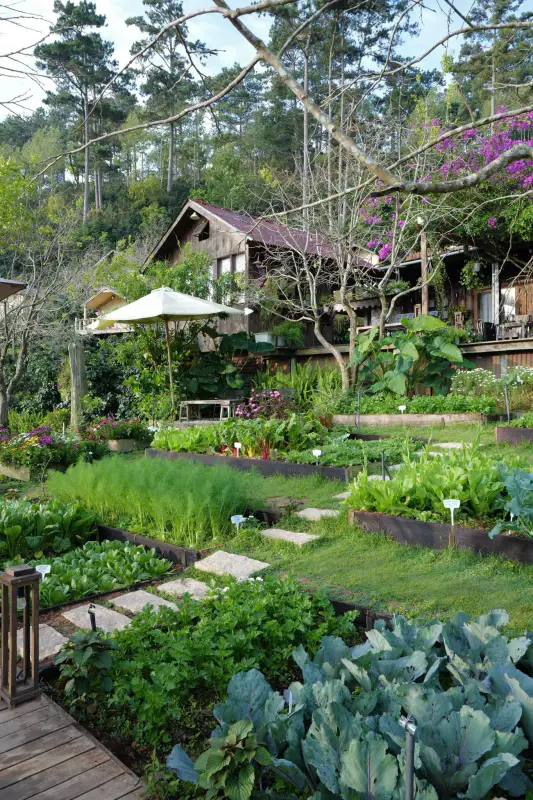 Tiệm cà phê Nắng Thuỷ Tinh - ảnh 3
