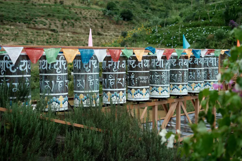 Dapa Hill Dalat - ảnh 3