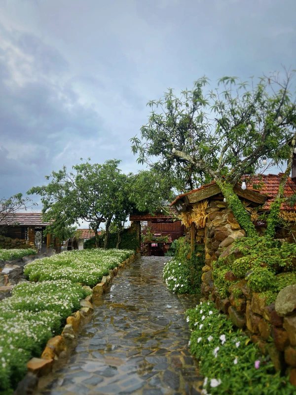 Ngày Thảnh Thơi Cafe - ảnh 6