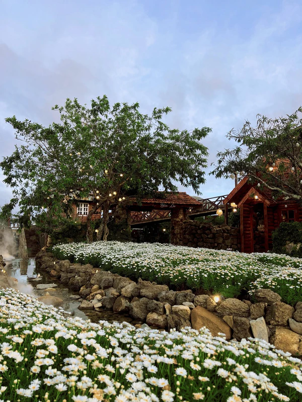 Ngày Thảnh Thơi Cafe - ảnh 5