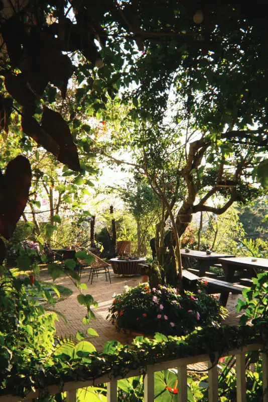 DALAT EDEN Cafe. Homestay. Restaurant. - ảnh 6