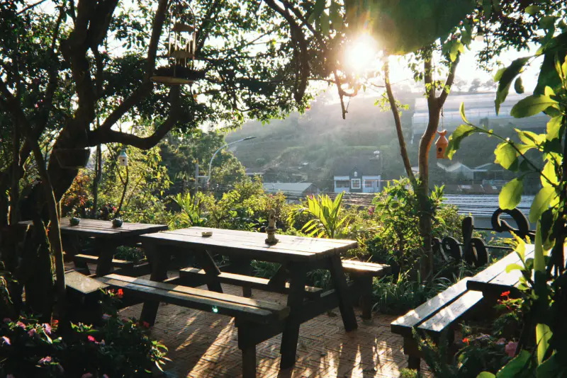 DALAT EDEN Cafe. Homestay. Restaurant. - ảnh 4