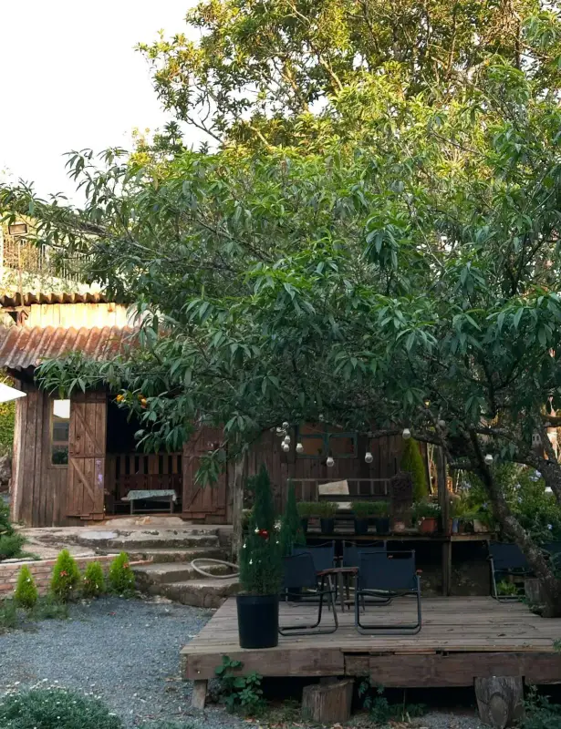 Rừng Đom Đóm Cafe - ảnh 4