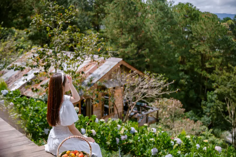 Tiệm cà phê Nhà Của Thông - ảnh 5