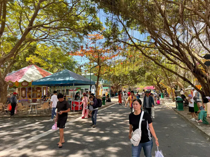 Du Lịch Hồ Mây - ảnh 2