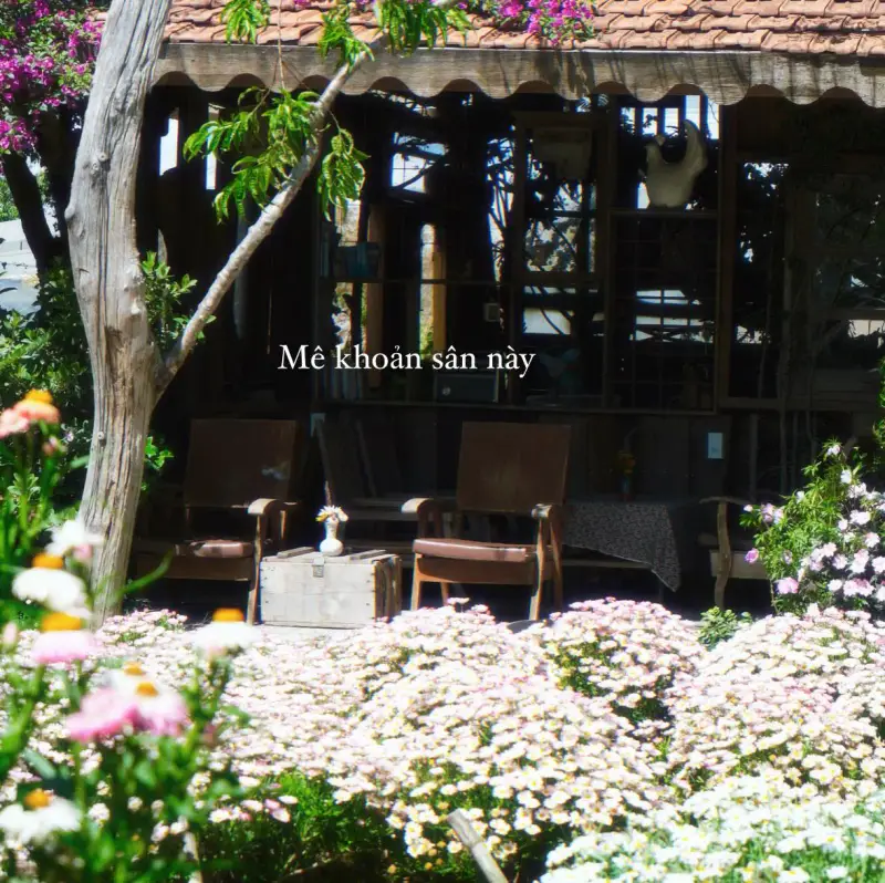 Tiệm cafe Người Thương Ơi - ảnh 2