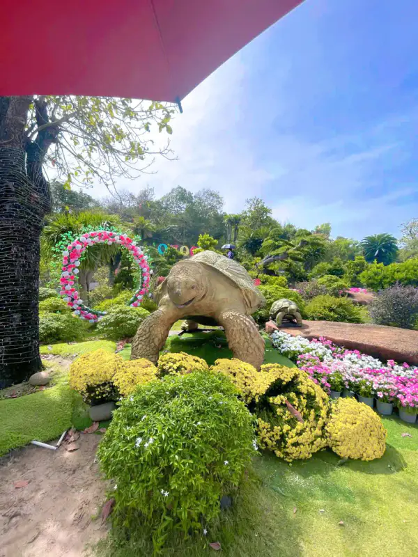 Gozoo Farm Vũng Tàu - ảnh 8