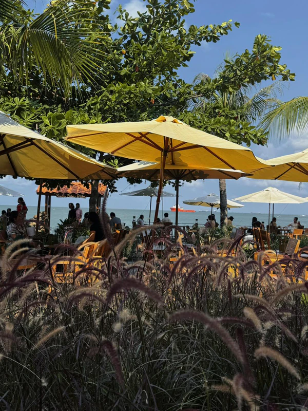Coffee Suối Bên Biển - ảnh 7
