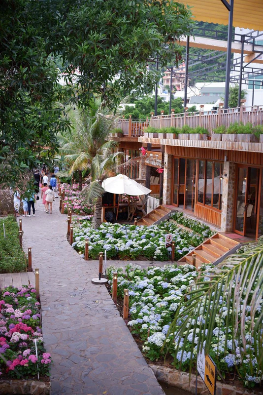 Coffee Suối Bên Biển - ảnh 5