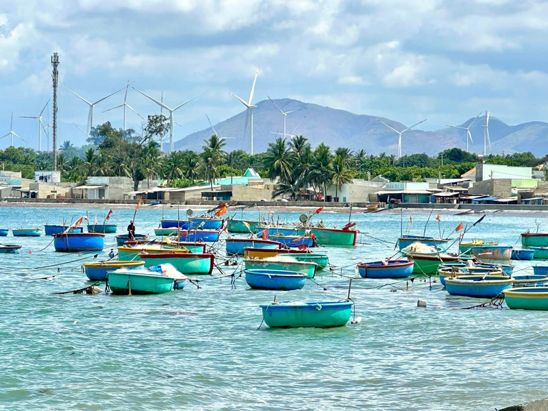 Bãi Biển Cổ Thạch - ảnh 6
