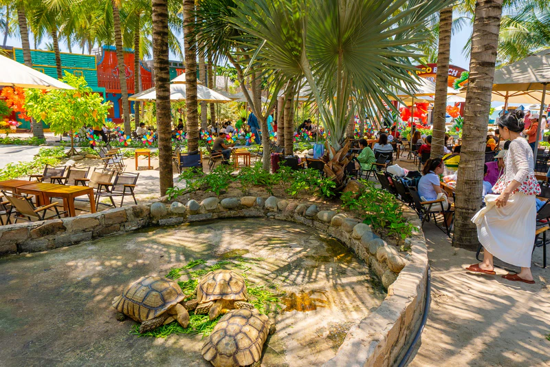 Mango Beach - ảnh 6