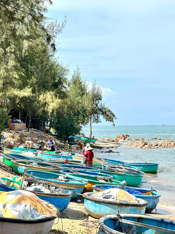 Bãi Biển Cổ Thạch - ảnh 7