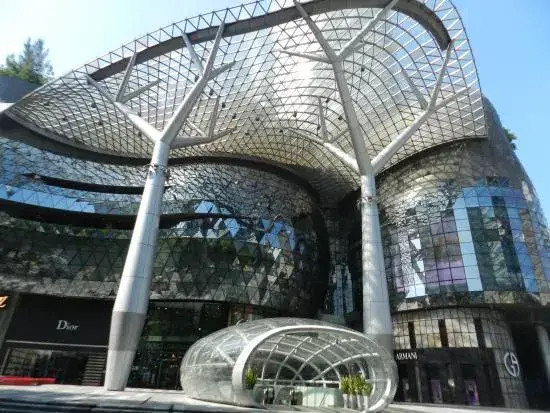Vườn bách thảo Singapore - ảnh 4