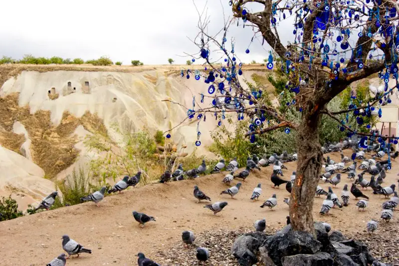 Pigeon Valley - ảnh 5