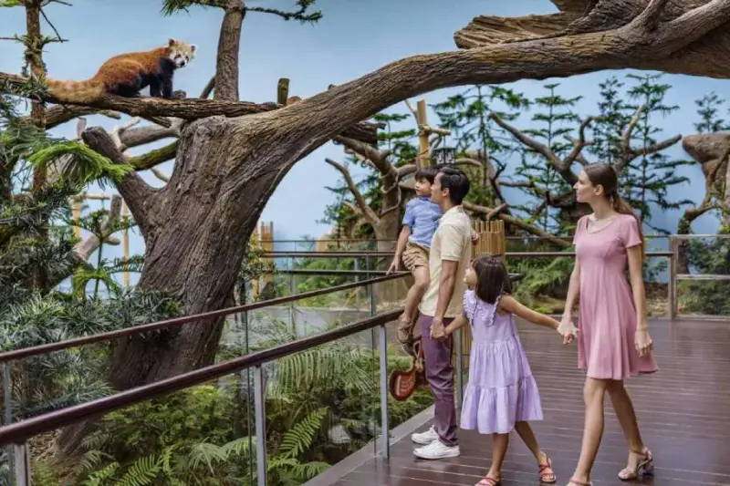 River Wonders - ảnh 4