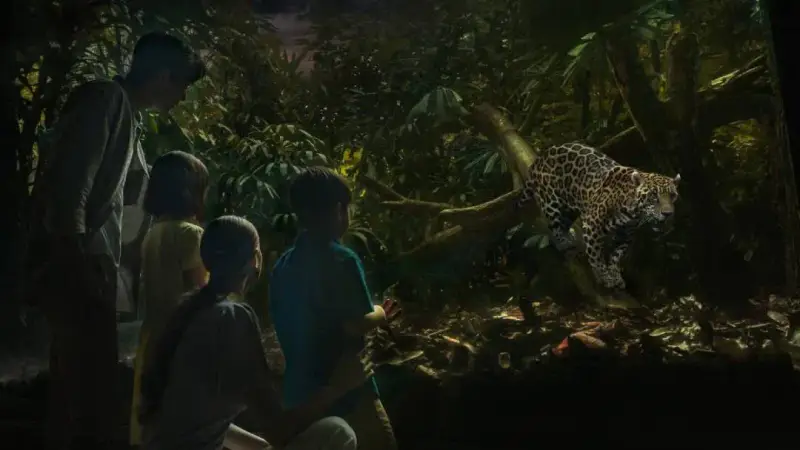 Vườn thú Night Safari - Singapore - ảnh 5