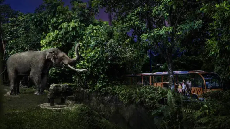 Vườn thú Night Safari - Singapore - ảnh 6