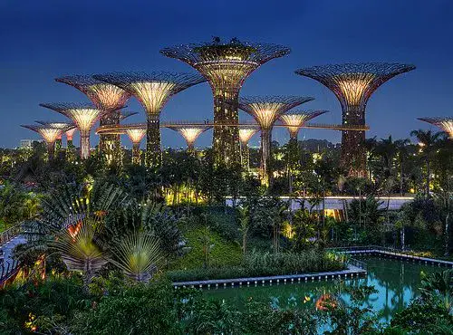 Gardens by the Bay - ảnh 6
