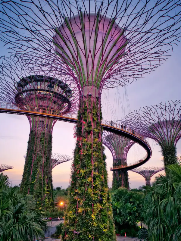 Gardens by the Bay - ảnh 5