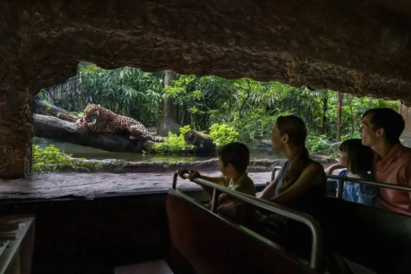 River Wonders - ảnh 2