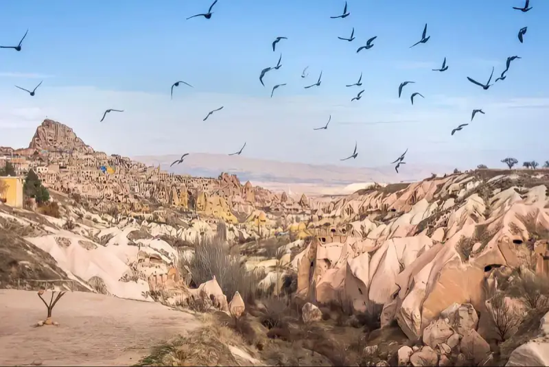 Pigeon Valley - ảnh 4