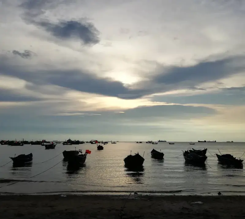 Bãi Trước Vũng Tàu - ảnh 2