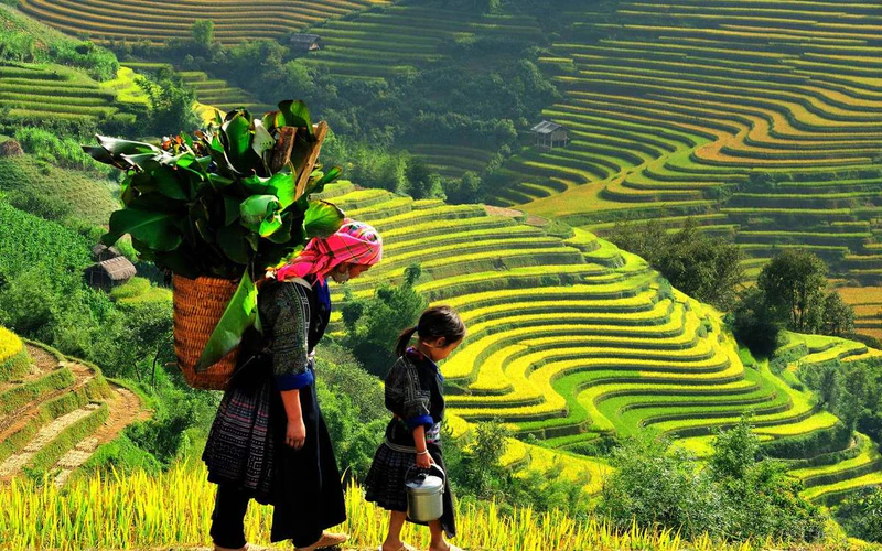 Bản Tả Phìn - SaPa - ảnh 5