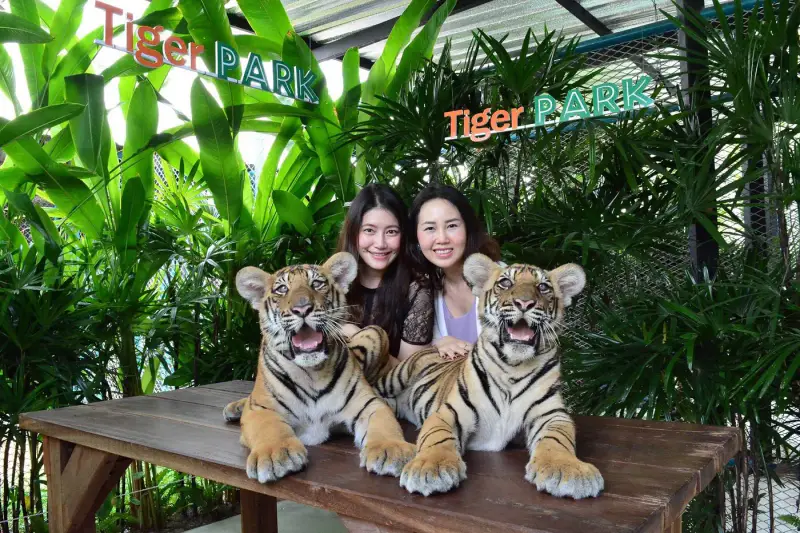 Công viên Tiger Park Pattaya - ảnh 3
