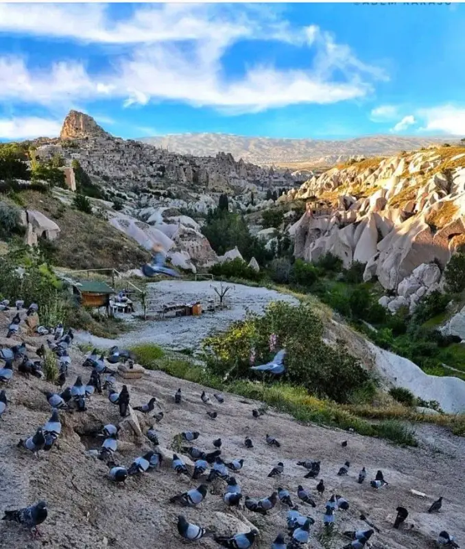 Pigeon Valley - ảnh 6