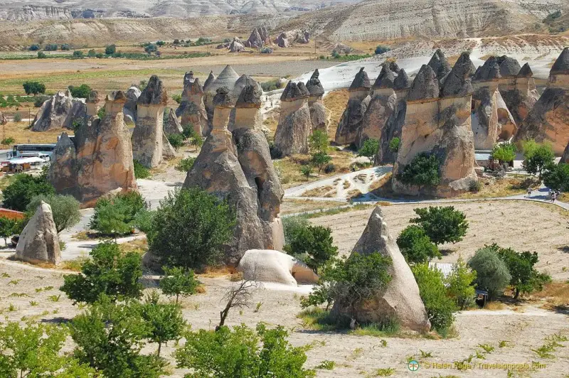 Pigeon Valley - ảnh 3