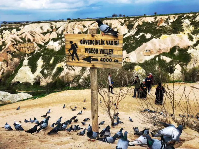 Pigeon Valley - ảnh 2
