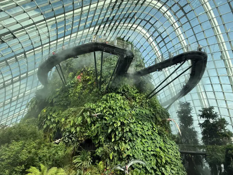Cloud Forest - ảnh 2