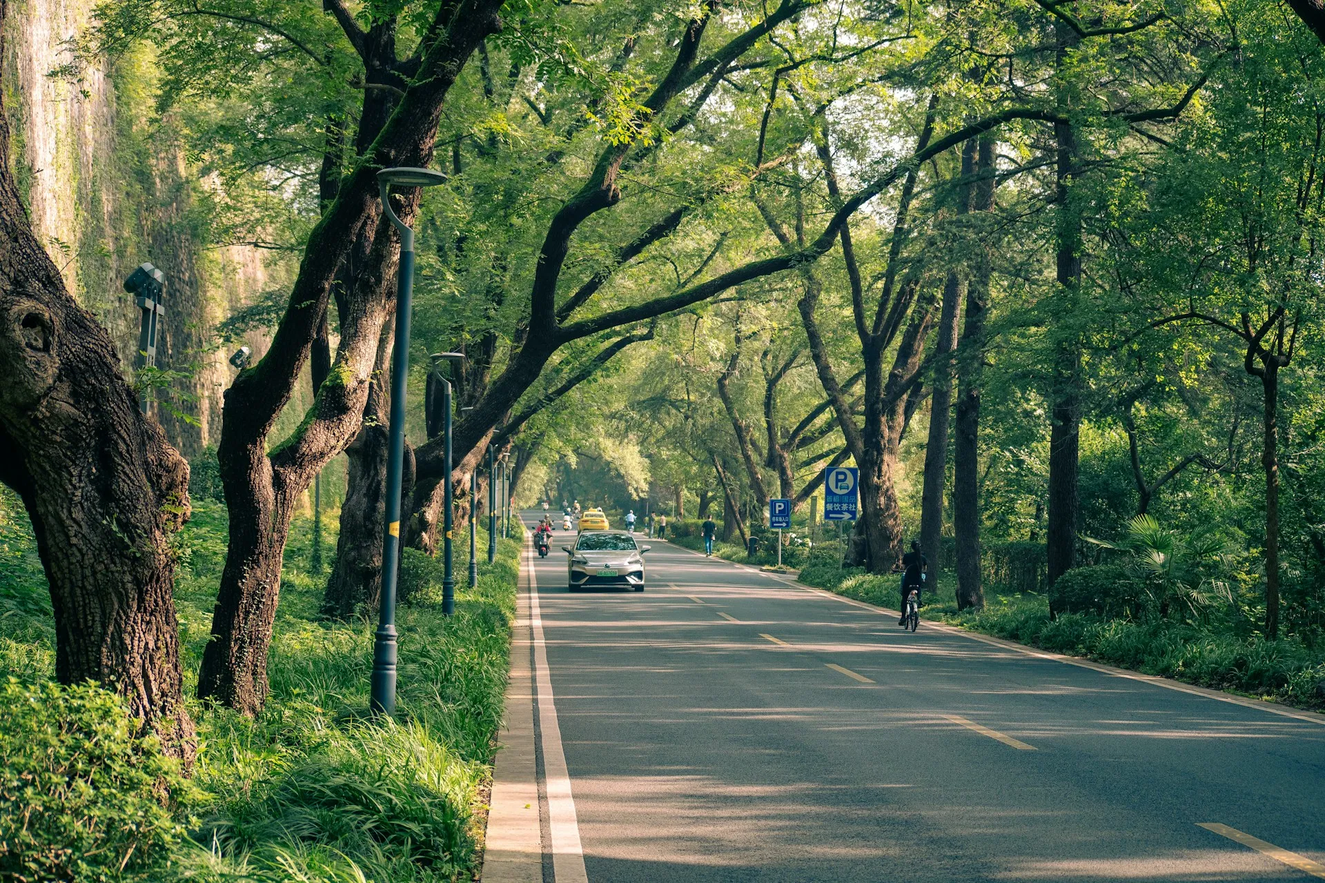 Tour Trung Quốc 5 Ngày 4 Đêm (Thượng Hải - Hàng Châu - Ô Trấn - Vô Tích) 1
