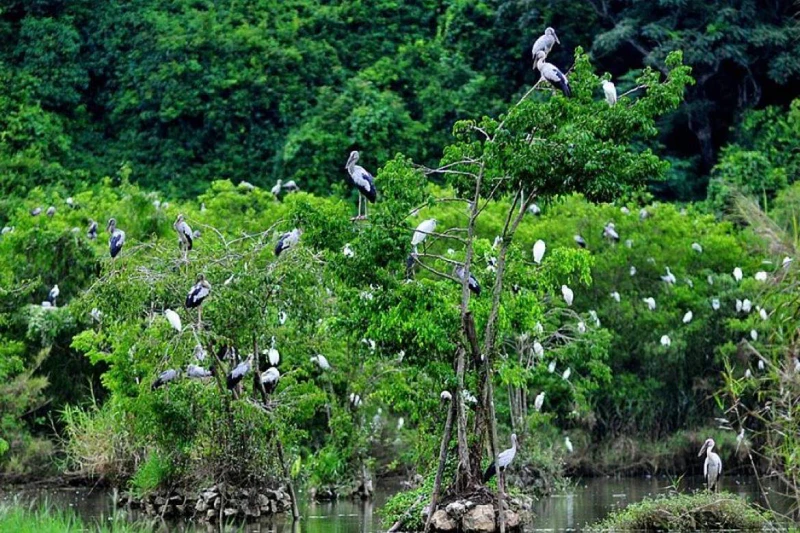 Khu du lịch sinh thái Thung Nham - Ninh Bình - ảnh 4