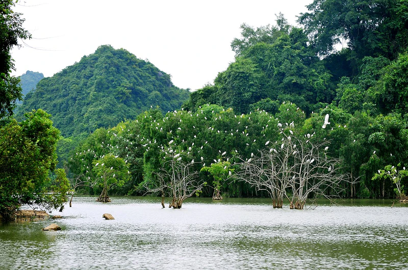 Khu du lịch sinh thái Thung Nham - Ninh Bình - ảnh 3