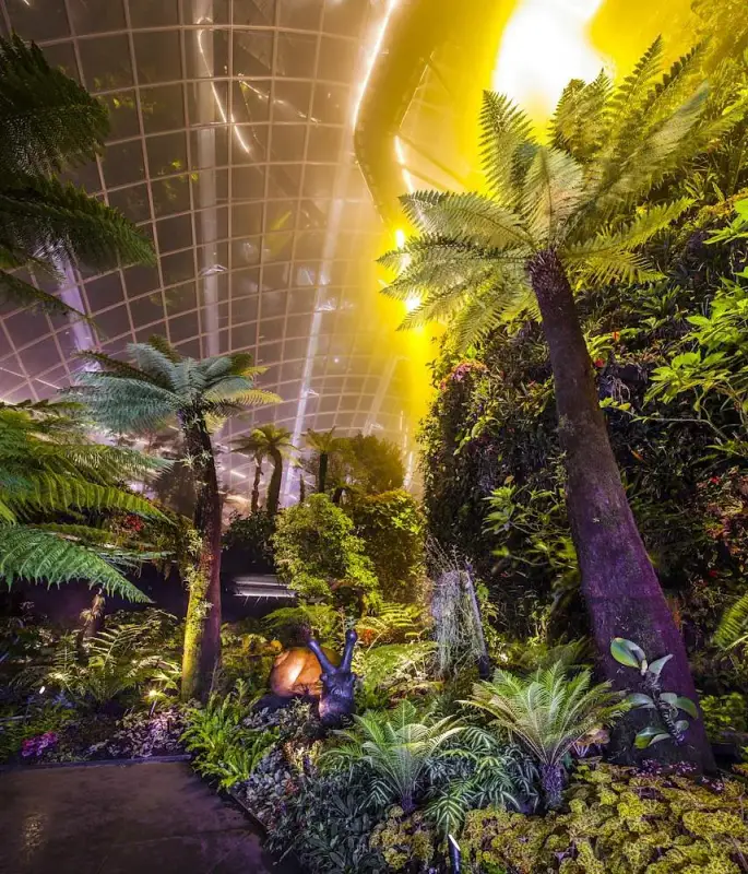 Cloud Forest - ảnh 5