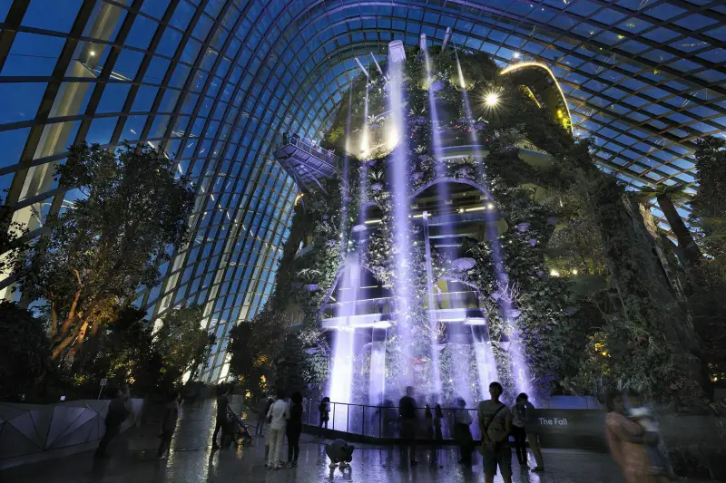 Cloud Forest - ảnh 3