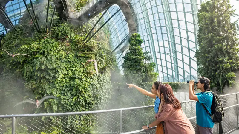 Cloud Forest - ảnh 7